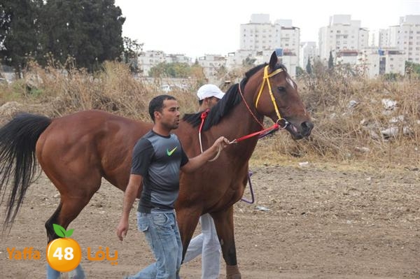 khoyoul lud 0610 (46).JPG